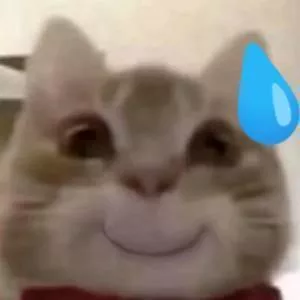 呆鱼